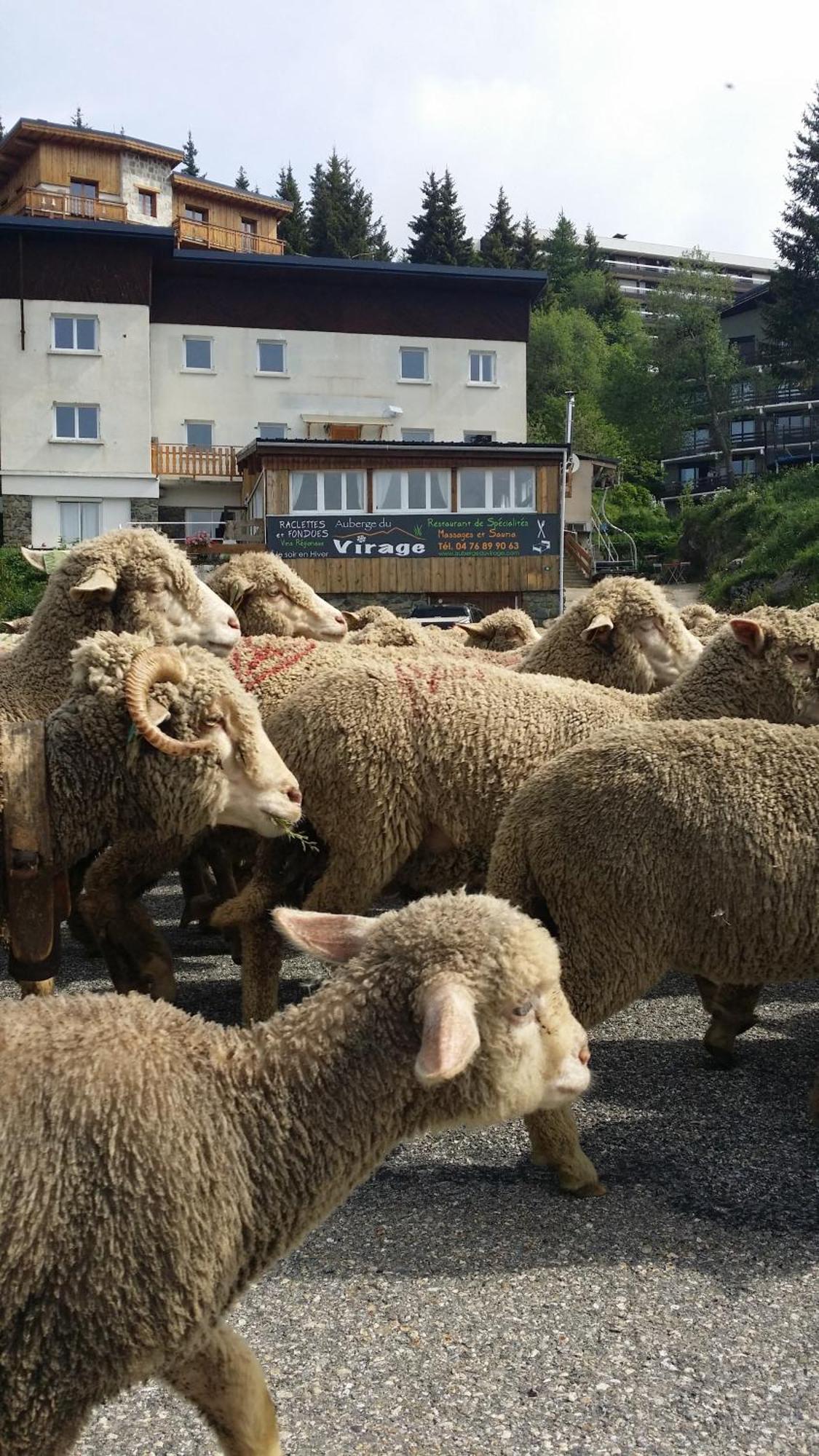 Auberge Restaurant Du Virage シャンルッス エクステリア 写真